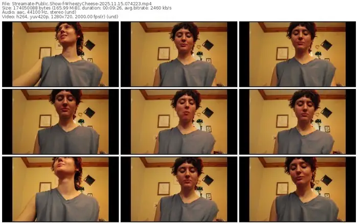 2025/11/15/streamate-wheezycheese-07-42-23