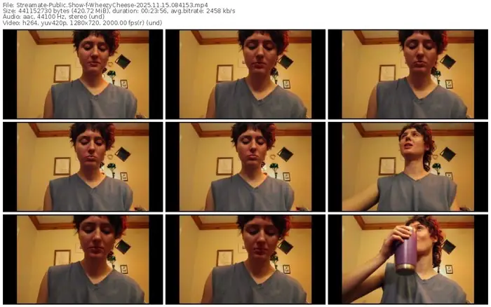 2025/11/15/streamate-wheezycheese-08-41-53