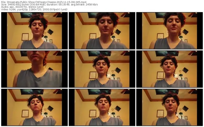 2025/11/15/streamate-wheezycheese-09-13-45