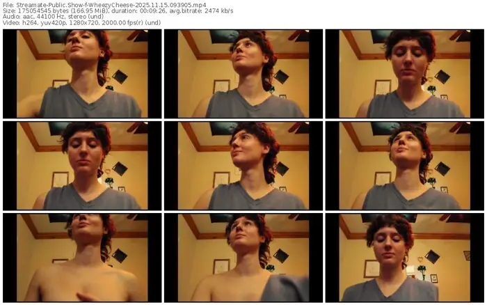 2025/11/15/streamate-wheezycheese-09-39-05