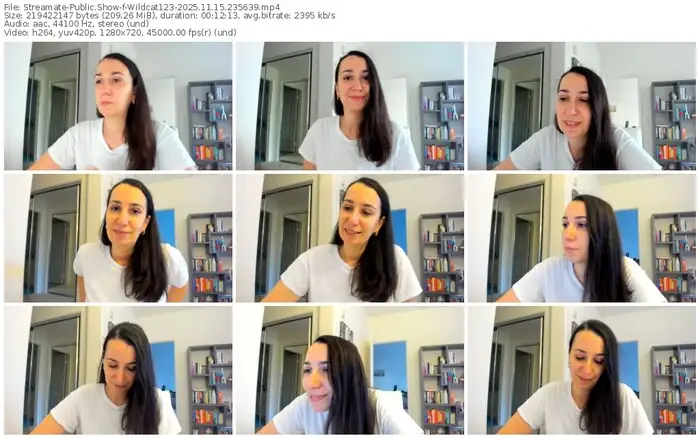 2025/11/15/streamate-wildcat123-23-56-39