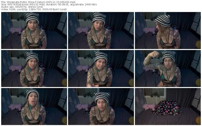 2025/11/15/streamate-zaturn-06-53-02