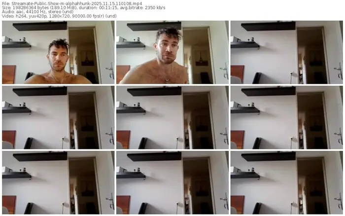 2025/11/15/streamate-alphahhunk-11-01-08