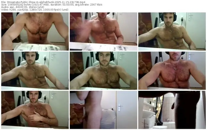 2025/11/15/streamate-alphahhunk-23-17-38