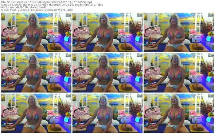 2025/11/16/streamate-bustybarbixxxx-16-05-34
