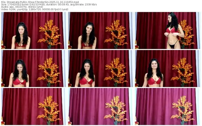 2025/11/16/streamate-tendersin-11-04-53