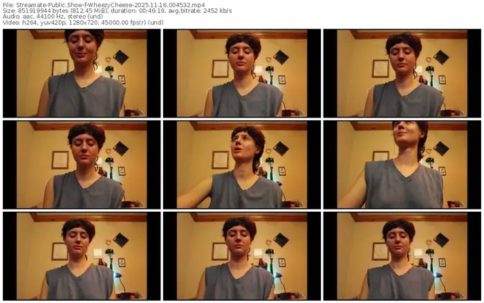 2025/11/16/streamate-wheezycheese-00-45-32