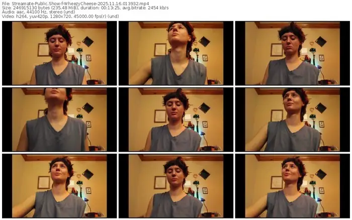 2025/11/16/streamate-wheezycheese-01-39-32