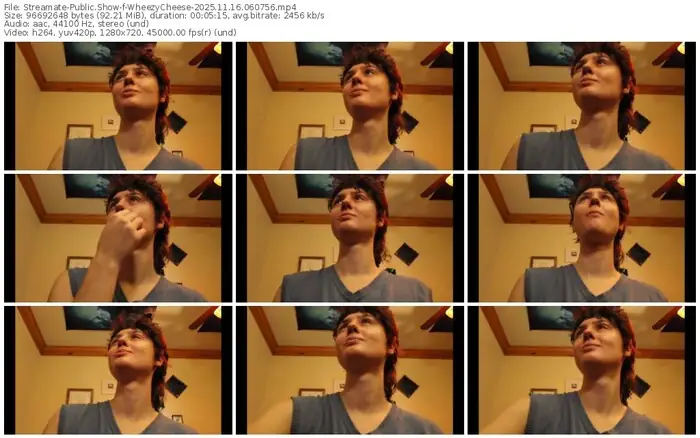 2025/11/16/streamate-wheezycheese-06-07-56