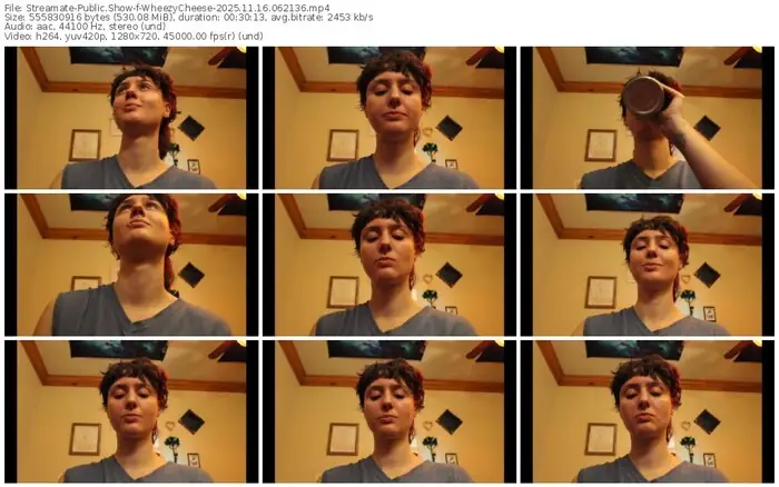 2025/11/16/streamate-wheezycheese-06-21-36