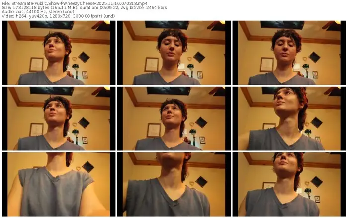 2025/11/16/streamate-wheezycheese-07-03-18