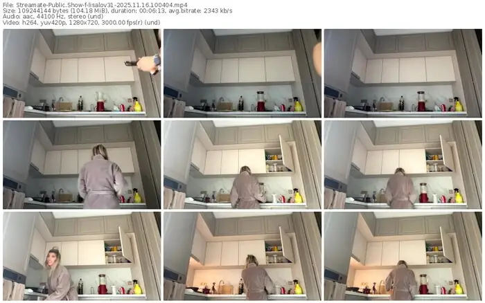 2025/11/16/streamate-lisalov31-10-04-04