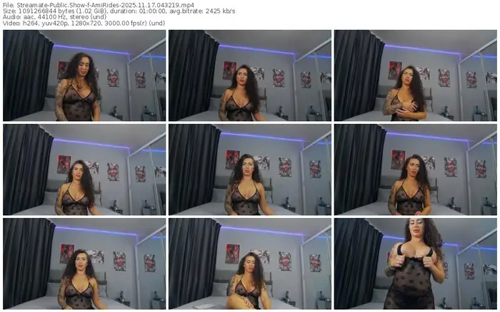 2025/11/17/streamate-amirides-04-32-19