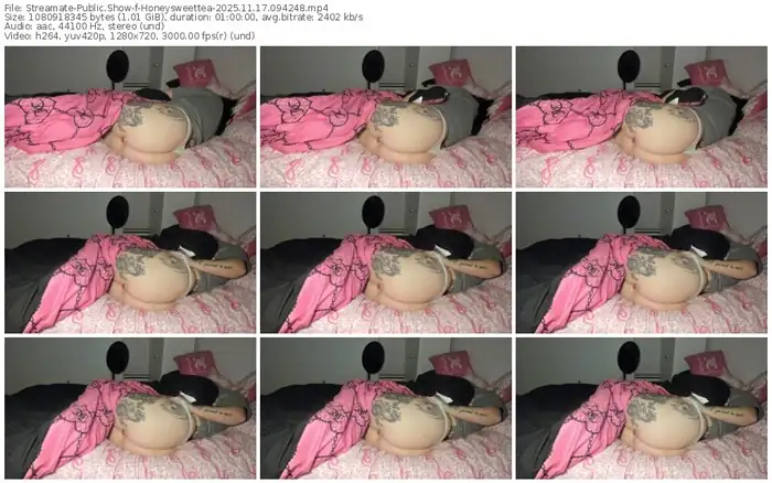 2025/11/17/streamate-honeysweettea-09-42-48