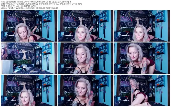 2025/11/17/streamate-missquincam-13-18-59