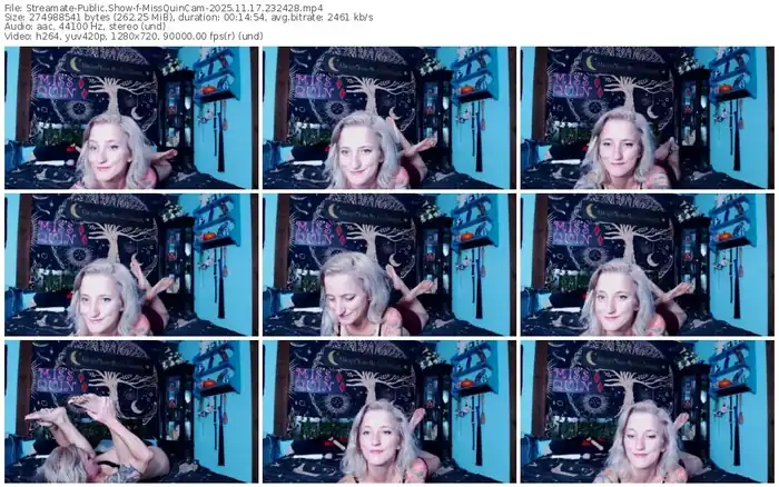 2025/11/17/streamate-missquincam-23-24-28