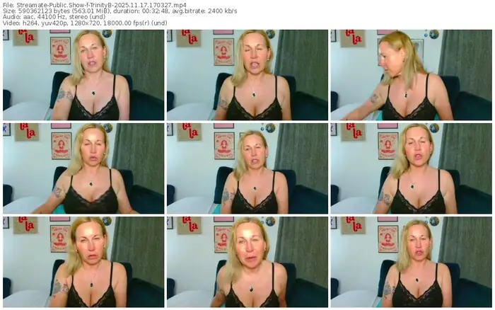 2025/11/17/streamate-trinityb-17-03-27