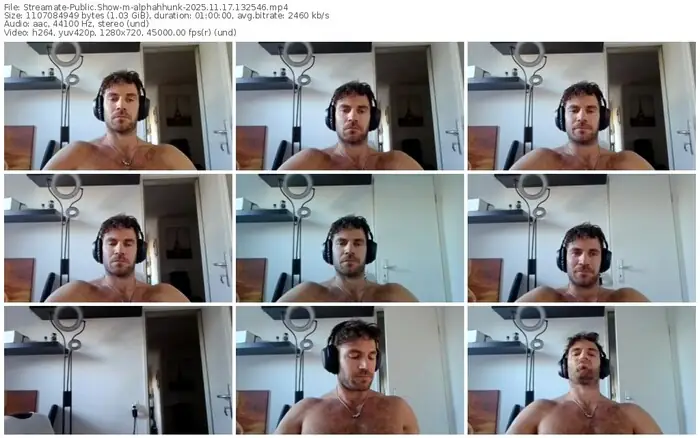 2025/11/17/streamate-alphahhunk-13-25-46