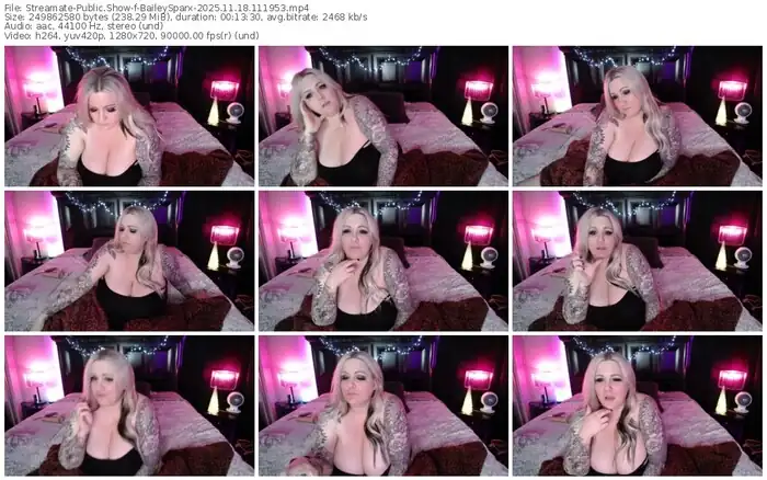 2025/11/18/streamate-baileysparx-11-19-53