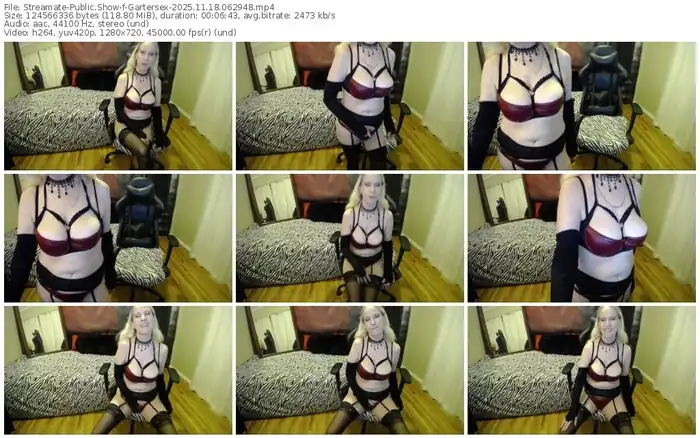 2025/11/18/streamate-gartersex-06-29-48
