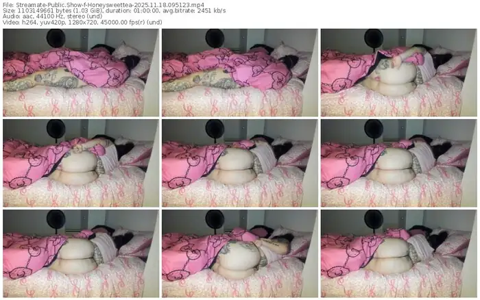 2025/11/18/streamate-honeysweettea-09-51-23