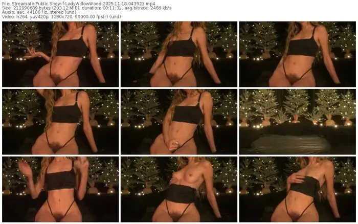 2025/11/18/streamate-ladywillowwood-04-39-23