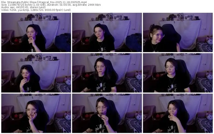 2025/11/18/streamate-magical_fox-09-35-05