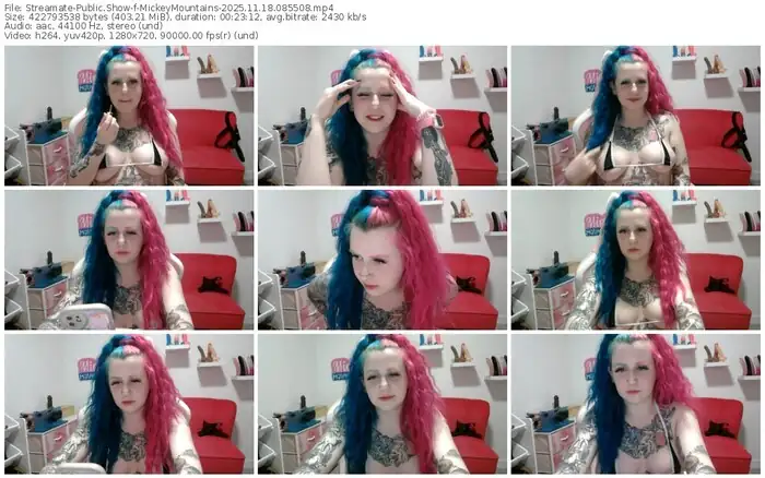 2025/11/18/streamate-mickeymountains-08-55-08