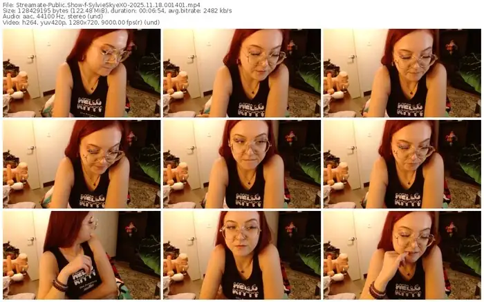 2025/11/18/streamate-sylvieskyexo-00-14-01