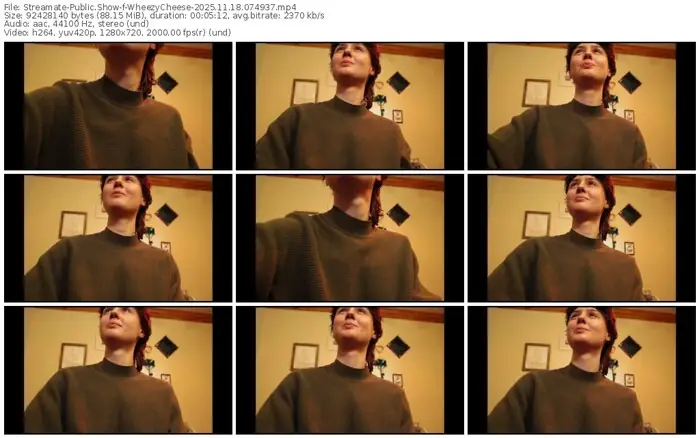 2025/11/18/streamate-wheezycheese-07-49-37