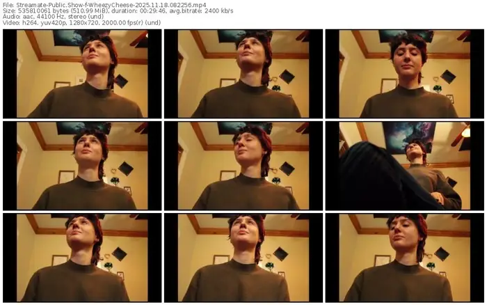 2025/11/18/streamate-wheezycheese-08-22-56