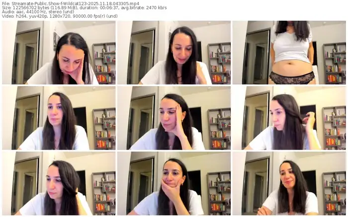 2025/11/18/streamate-wildcat123-04-33-05