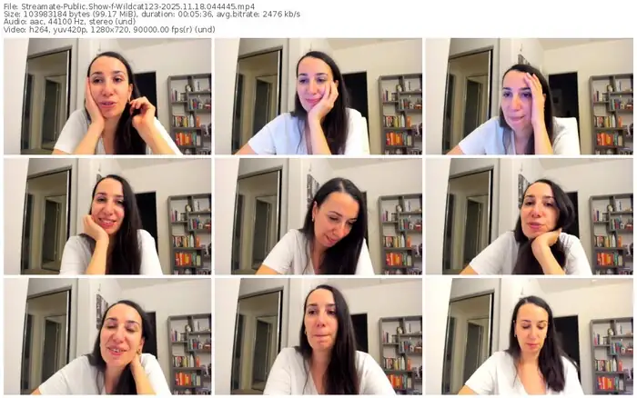 2025/11/18/streamate-wildcat123-04-44-45