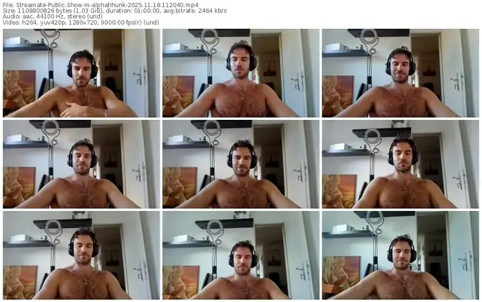 2025/11/18/streamate-alphahhunk-11-20-40