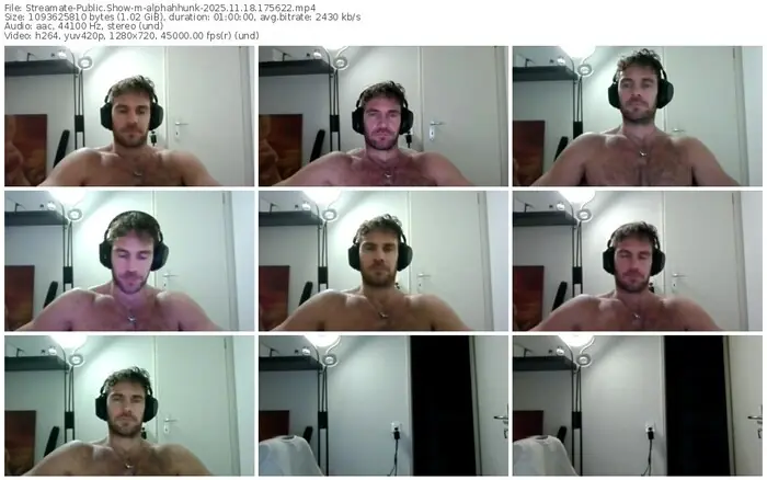 2025/11/18/streamate-alphahhunk-17-56-22