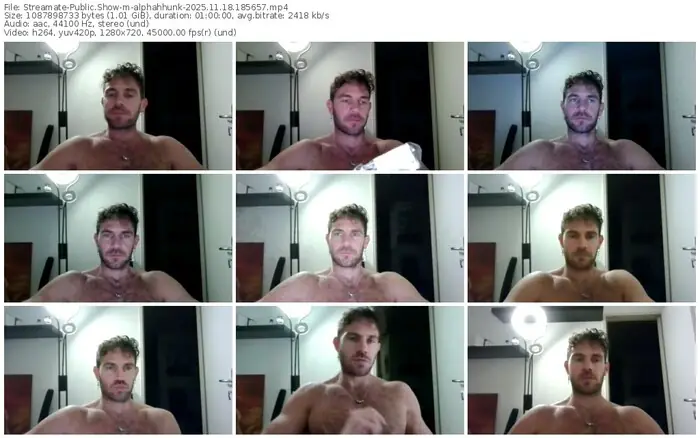 2025/11/18/streamate-alphahhunk-18-56-57