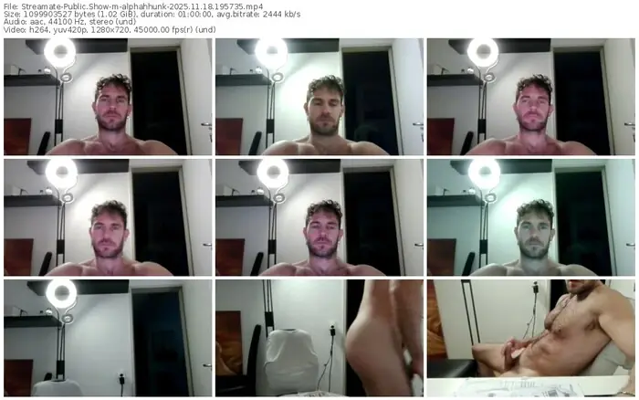 2025/11/18/streamate-alphahhunk-19-57-35