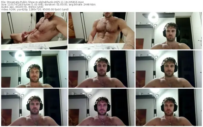 2025/11/18/streamate-alphahhunk-20-58-16