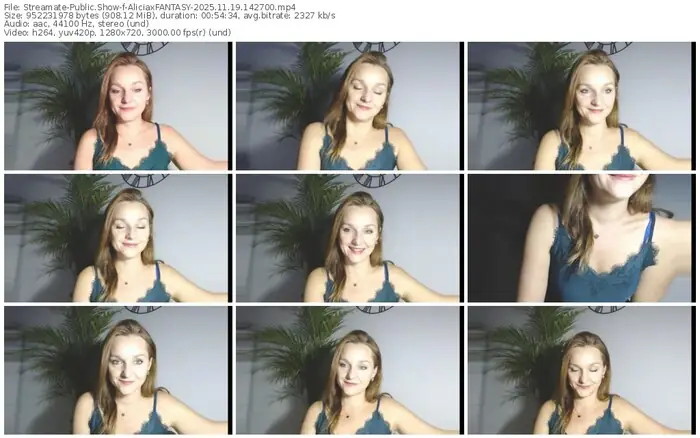 2025/11/19/streamate-aliciaxfantasy-14-27-00