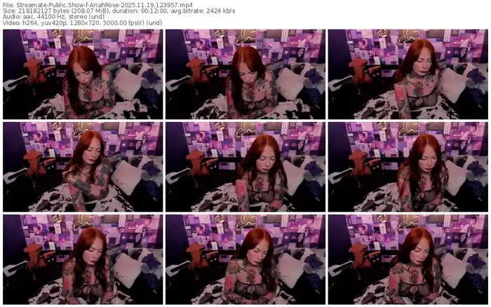 2025/11/19/streamate-ariahrose-12-39-57