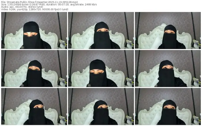 2025/11/19/streamate-hajarkar-09-51-28