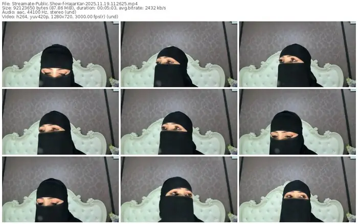 2025/11/19/streamate-hajarkar-11-26-25