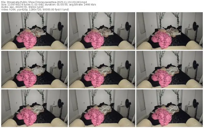 2025/11/19/streamate-honeysweettea-10-12-43