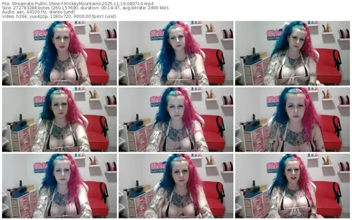 2025/11/19/streamate-mickeymountains-08-07-14