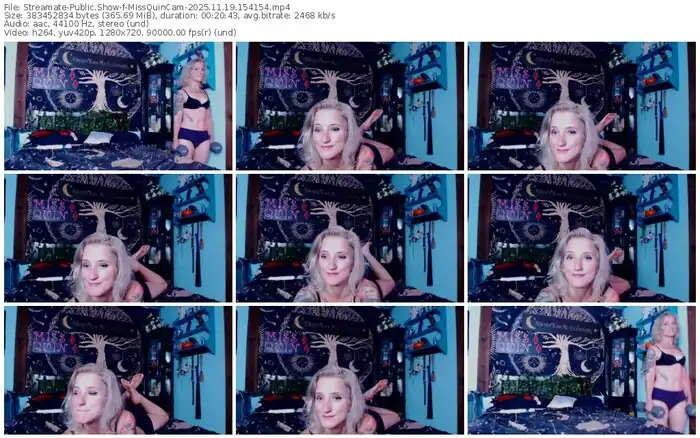 2025/11/19/streamate-missquincam-15-41-54