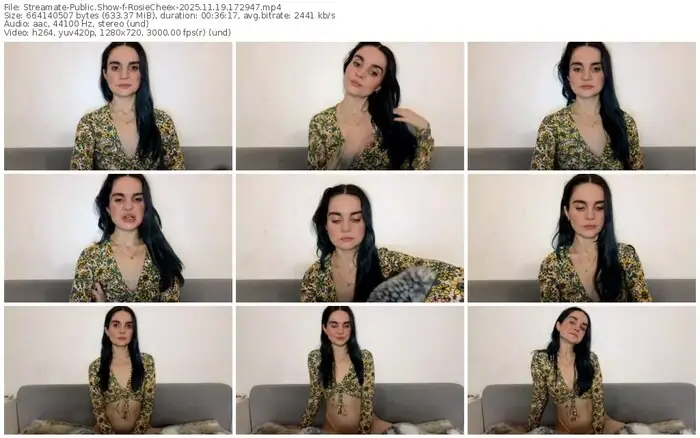 2025/11/19/streamate-rosiecheex-17-29-47
