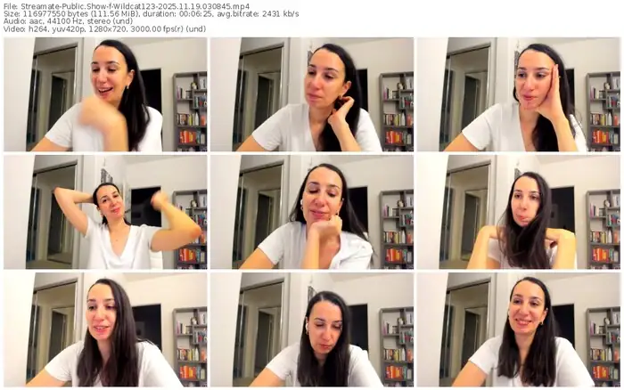 2025/11/19/streamate-wildcat123-03-08-45