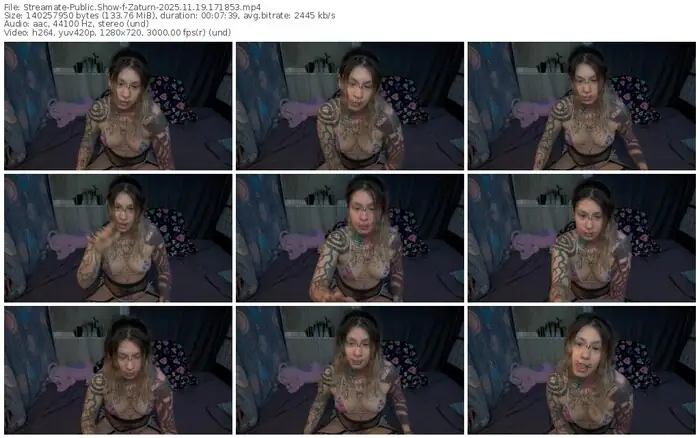 2025/11/19/streamate-zaturn-17-18-53