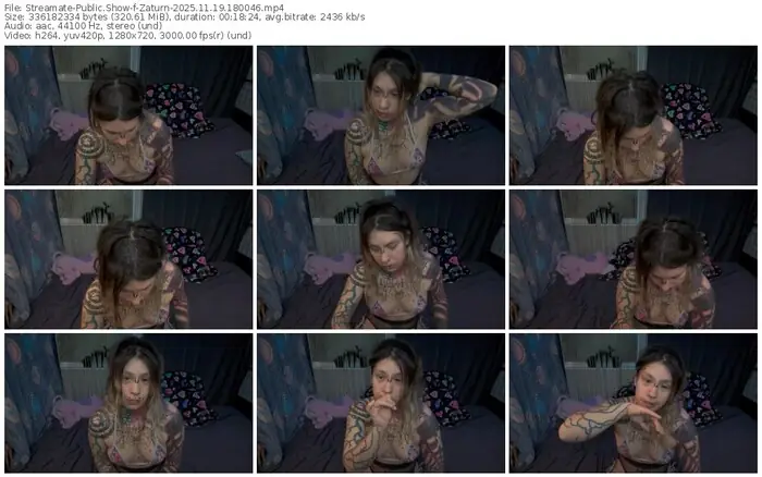 2025/11/19/streamate-zaturn-18-00-46