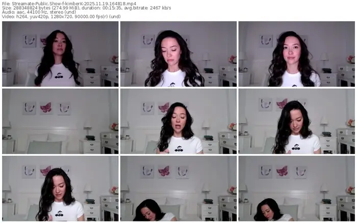 2025/11/19/streamate-kimberk-16-48-18